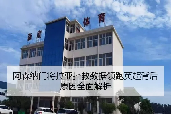 阿森纳门将拉亚扑救数据领跑英超背后原因全面解析